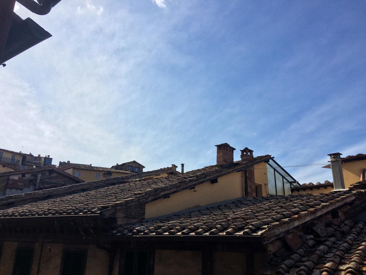 Bed and breakfast La Biccherna 3*